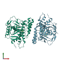 PDB entry 1uk0 coloured by chain, front view.