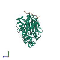 PDB entry 1ukh coloured by chain, side view.