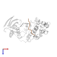 C-Jun-amino-terminal kinase-interacting protein 1 in PDB entry 1uki, assembly 1, top view.