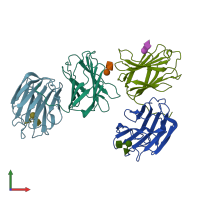 PDB entry 1uld coloured by chain, front view.