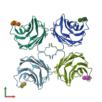 PDB entry 1ulg coloured by chain, front view.