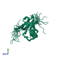 PDB entry 1um1 coloured by chain, ensemble of 20 models, side view.