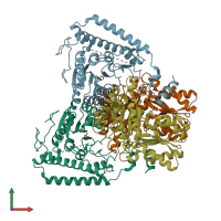 PDB entry 1um9 coloured by chain, front view.