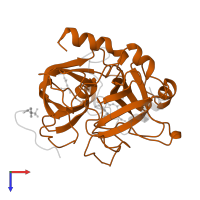 Thrombin heavy chain in PDB entry 1uma, assembly 1, top view.