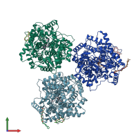 PDB entry 1ump coloured by chain, front view.