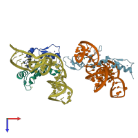 PDB entry 1un6 coloured by chain, top view.