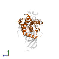 Cyclin-dependent kinase 5 activator 1, p25 in PDB entry 1ung, assembly 1, side view.