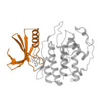 The deposited structure of PDB entry 1unh contains 2 copies of CATH domain 3.30.200.20 (Phosphorylase Kinase; domain 1) in Cyclin-dependent kinase 5. Showing 1 copy in chain A.