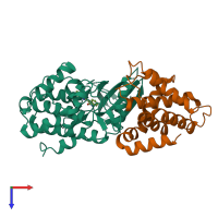 Hetero dimeric assembly 2 of PDB entry 1unh coloured by chemically distinct molecules, top view.