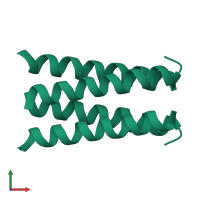Homo tetrameric assembly 1 of PDB entry 1unv coloured by chemically distinct molecules, front view.