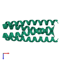 General control transcription factor GCN4 in PDB entry 1uo2, assembly 1, top view.