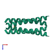 Homo tetrameric assembly 1 of PDB entry 1uo4 coloured by chemically distinct molecules, top view.