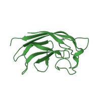 The deposited structure of PDB entry 1uoj contains 4 copies of SCOP domain 82022 (PA-IL, galactose-binding lectin 1) in PA-I galactophilic lectin. Showing 1 copy in chain A.