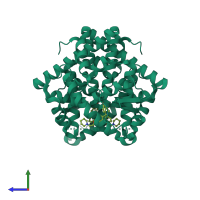 Homo dimeric assembly 1 of PDB entry 1uom coloured by chemically distinct molecules, side view.