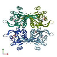 PDB entry 1upu coloured by chain, front view.