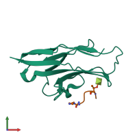 PDB entry 1url coloured by chain, front view.