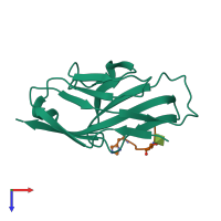 PDB entry 1url coloured by chain, top view.