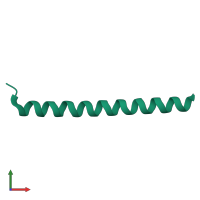 PDB entry 1use coloured by chain, front view.