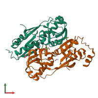 PDB entry 1utb coloured by chain, front view.