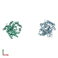 PDB entry 1uum coloured by chain, front view.