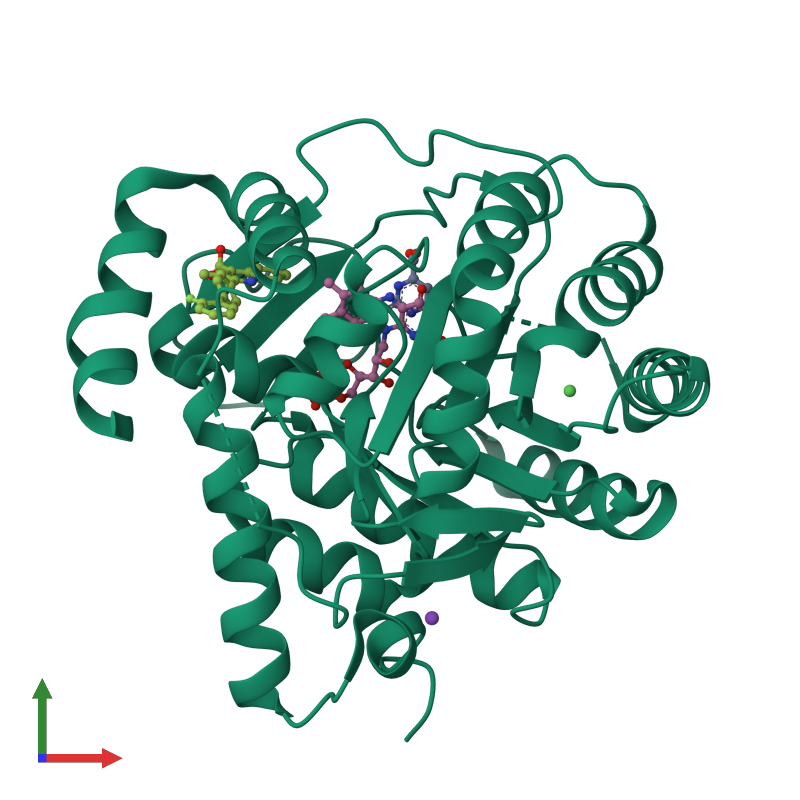 PDB entry 1uuo coloured by chain, front view.