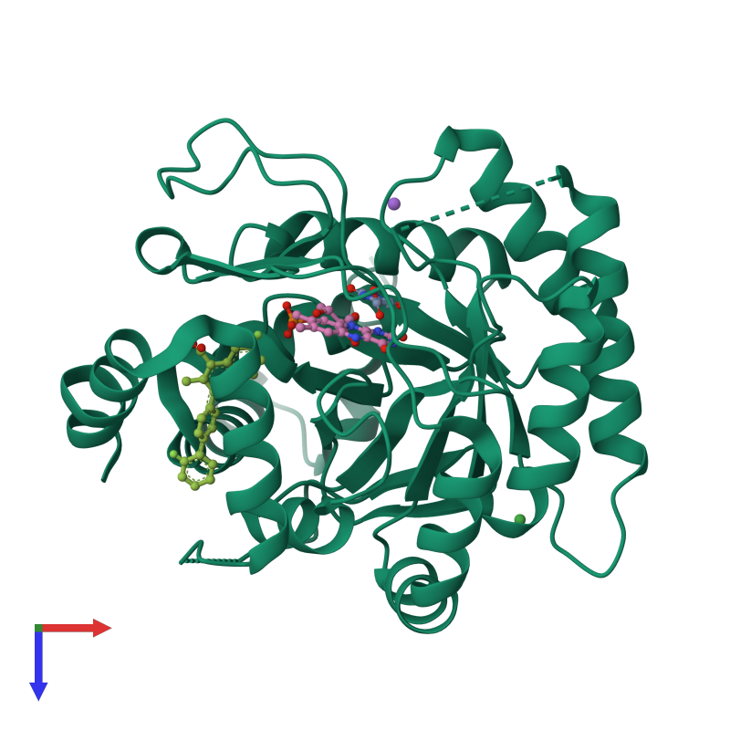 PDB entry 1uuo coloured by chain, top view.