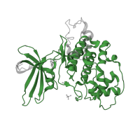 The deposited structure of PDB entry 1uv5 contains 1 copy of Pfam domain PF00069 (Protein kinase domain) in Glycogen synthase kinase-3 beta. Showing 1 copy in chain A.