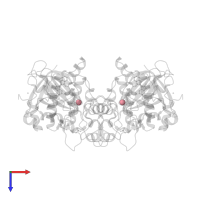 COBALT (II) ION in PDB entry 1uv5, assembly 1, top view.