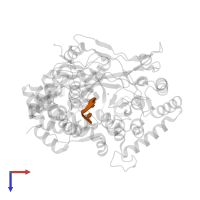 5'-R(*UP*UP*UP*UP*CP*CP)-3' in PDB entry 1uvi, assembly 2, top view.