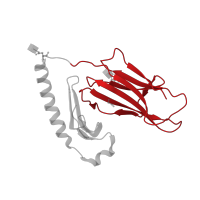 The deposited structure of PDB entry 1uvq contains 1 copy of CATH domain 2.60.40.10 (Immunoglobulin-like) in Ig-like domain-containing protein. Showing 1 copy in chain A.