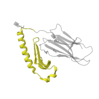 The deposited structure of PDB entry 1uvq contains 1 copy of SCOP domain 54453 (MHC antigen-recognition domain) in Ig-like domain-containing protein. Showing 1 copy in chain A.