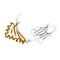 The deposited structure of PDB entry 1uvq contains 1 copy of Pfam domain PF00969 (Class II histocompatibility antigen, beta domain) in HLA class II histocompatibility antigen, DQ beta 1 chain. Showing 1 copy in chain B.