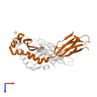 HLA class II histocompatibility antigen, DQ beta 1 chain in PDB entry 1uvq, assembly 1, top view.