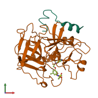 PDB entry 1uvt coloured by chain, front view.