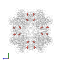 Modified residue HYP in PDB entry 1uwa, assembly 1, side view.