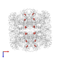 Modified residue HYP in PDB entry 1uwa, assembly 1, top view.