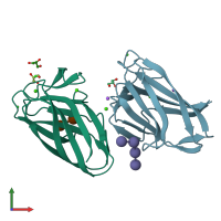 PDB entry 1uy0 coloured by chain, front view.