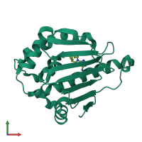 PDB entry 1uy7 coloured by chain, front view.