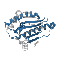 The deposited structure of PDB entry 1uyk contains 1 copy of Pfam domain PF13589 (Histidine kinase-, DNA gyrase B-, and HSP90-like ATPase) in Heat shock protein HSP 90-alpha. Showing 1 copy in chain A.