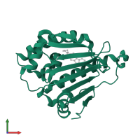 Heat shock protein HSP 90-beta in PDB entry 1uym, assembly 1, front view.