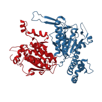 The deposited structure of PDB entry 1uyv contains 6 copies of CATH domain 3.90.226.10 (2-enoyl-CoA Hydratase; Chain A, domain 1) in Acetyl-CoA carboxylase. Showing 2 copies in chain A.