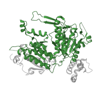 The deposited structure of PDB entry 1uyv contains 3 copies of Pfam domain PF01039 (Carboxyl transferase domain) in Acetyl-CoA carboxylase. Showing 1 copy in chain A.