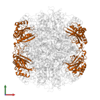 Ribulose bisphosphate carboxylase small subunit in PDB entry 1uzh, assembly 1, front view.