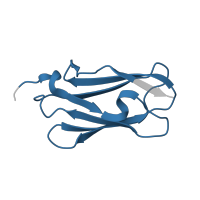 The deposited structure of PDB entry 1v05 contains 1 copy of Pfam domain PF00630 (Filamin/ABP280 repeat) in Filamin-C. Showing 1 copy in chain A.