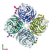 PDB entry 1v0z coloured by chain, front view.