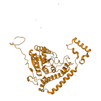 The deposited structure of PDB entry 1v11 contains 1 copy of SCOP domain 88766 (Branched-chain alpha-keto acid dehydrogenase PP module) in 2-oxoisovalerate dehydrogenase subunit alpha, mitochondrial. Showing 1 copy in chain A.