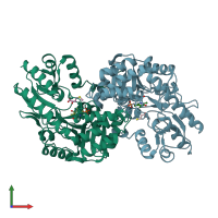 PDB entry 1v2e coloured by chain, front view.