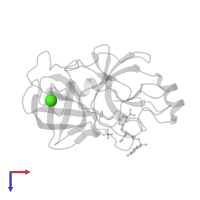 CALCIUM ION in PDB entry 1v2q, assembly 1, top view.