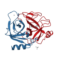 The deposited structure of PDB entry 1v2u contains 2 copies of CATH domain 2.40.10.10 (Thrombin, subunit H) in Serine protease 1. Showing 2 copies in chain A [auth T].