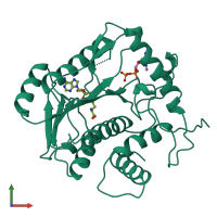 PDB entry 1v39 coloured by chain, front view.